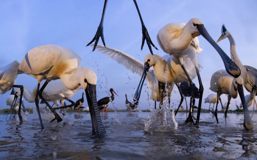 Istanbul Photo Awards 2023 – New York Exhibition