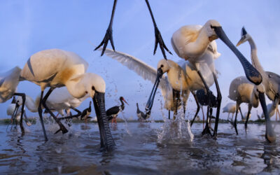 Istanbul Photo Awards 2023 – New York Exhibition